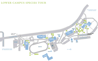 Lower Campus Map