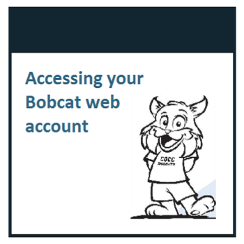 How to access your Bobcat Web Account