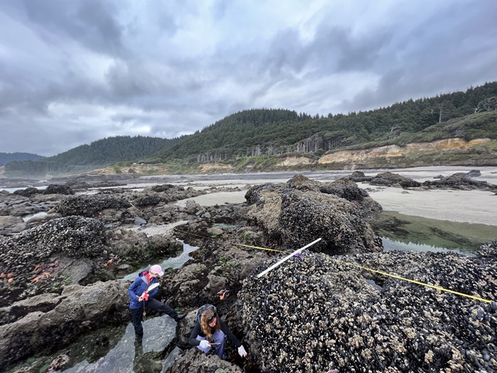 COCC Marine Biology class