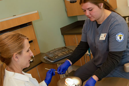 Dental Assisting Practicum student examining mouth model with faculty