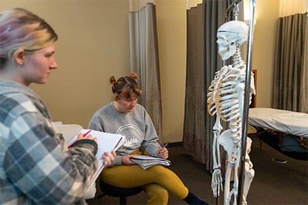 Two students viewing a skeleton and taking notes 