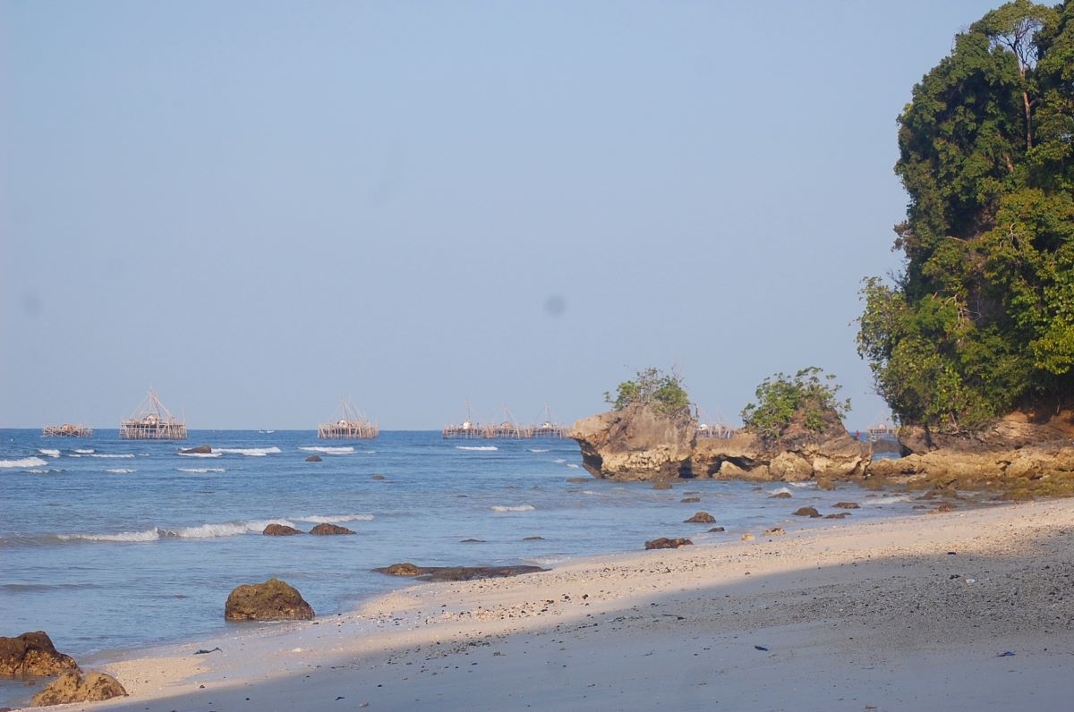Beach at research site
