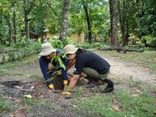 Participants Planting Tree